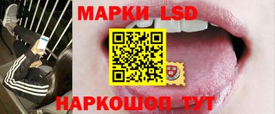 гидропоника Будённовск
