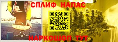 гидропоника Будённовск