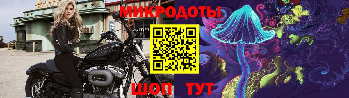 Псилоцибиновые грибы прущие грибы Лесной